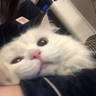 累计交付破50万 小米汽车多款新车待发