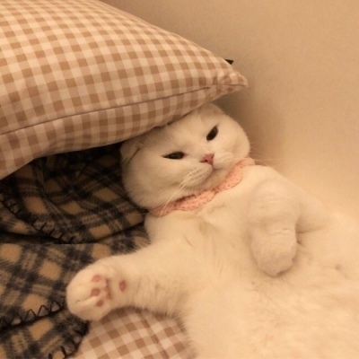 滴滴充电发布2025年度报告：已覆盖超280座城市68000余座场站，累计提供超17亿次充电服务