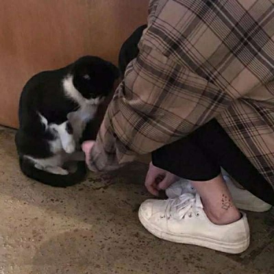 石家庄新突破！正定新区强势崛起